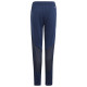 Adidas Παιδικό παντελόνι φόρμας Performance FCGB TR Pants